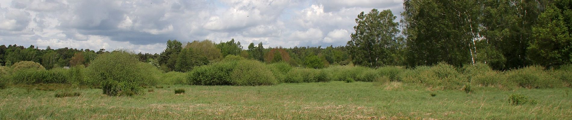 Trail On foot Dieburg - Geo-Lehrpfad Dieburg : Natur- und historischer Wanderweg - Photo