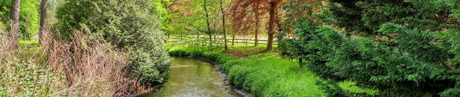 Tocht Stappen Waver - Champles - Tombeek - Photo