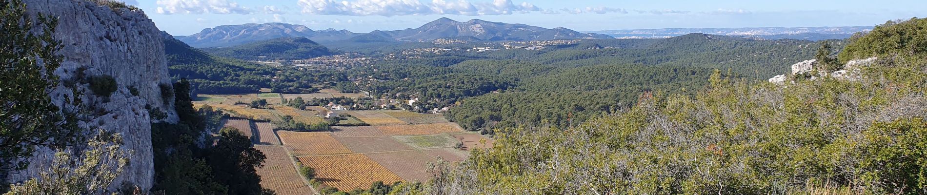 Tour Wandern Roquefort-la-Bédoule - Le grand caunet - Photo