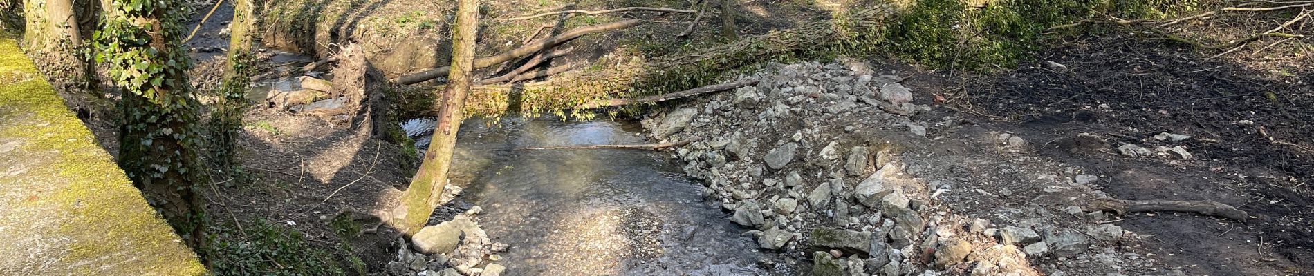 Randonnée Marche Gerpinnes - Ruisseau des haies et centre de Delassement  - Photo