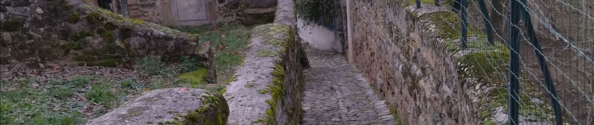 Randonnée Marche Châteauneuf-sur-Isère - 26 Châteauneuf didier - Photo