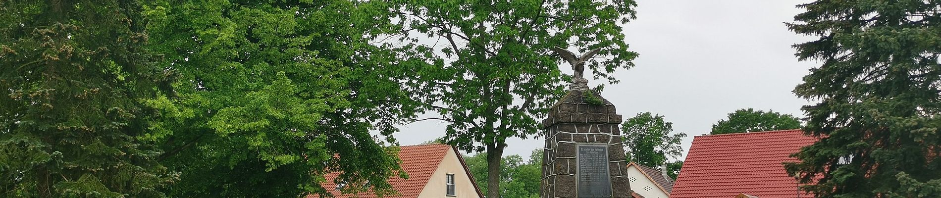 Tocht Te voet Unterspreewald - Wanderweg Neuendorf-Tschinka-Alt Schadow - Photo