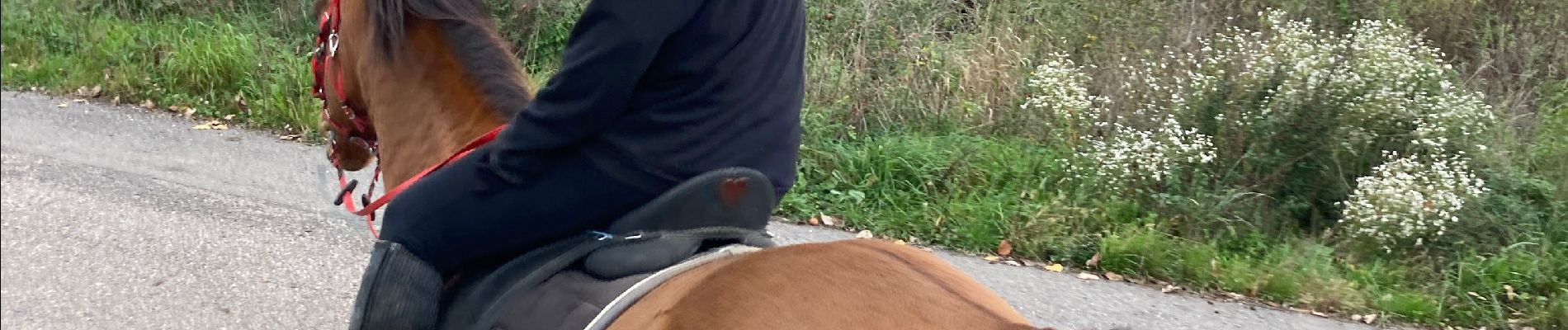 Tour Reiten Blankenberg - Sortie Blamont avec Élodie  - Photo