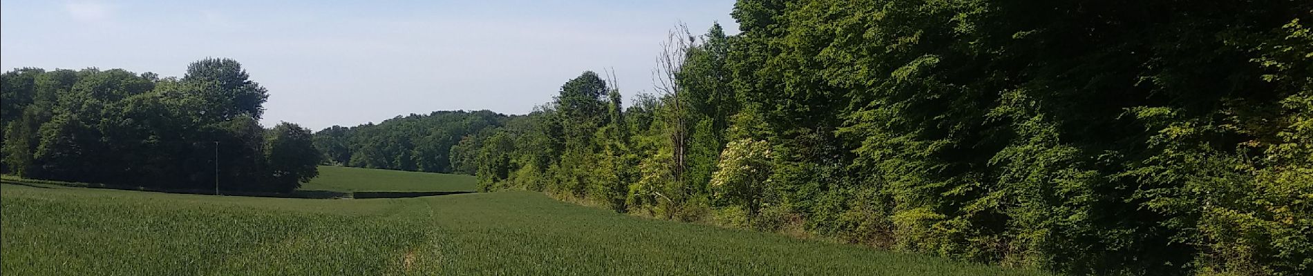 Tocht Stappen Rambouillet - Rambouillet- Gazeran - Photo