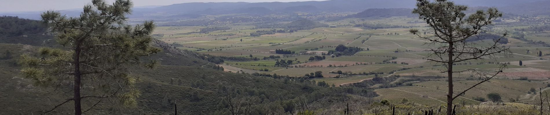 Tour Wandern Fabrezan - Frabezan La Pinada  - Photo