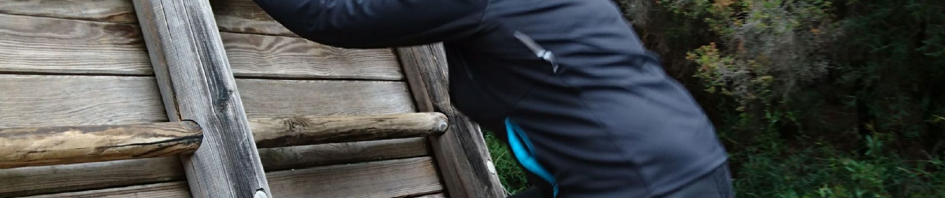 Tour Wandern La Croix-Valmer - polo à la recherche du parcours de santé  - Photo