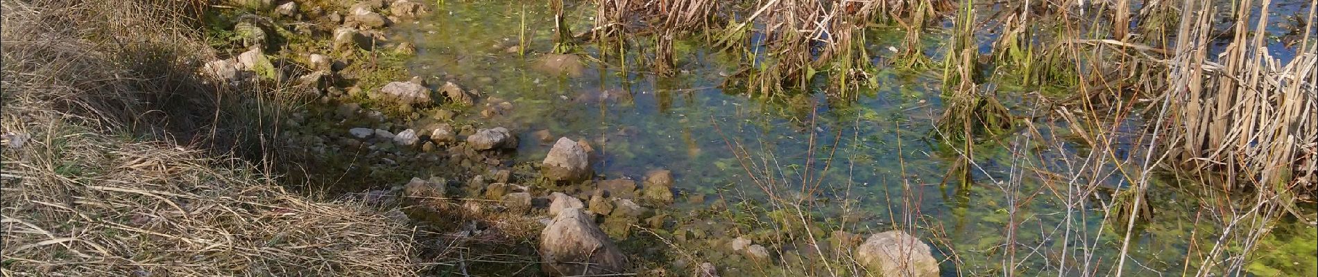 Tour Wandern Vescles - Vescles Sous le pic d'oliferne  - Photo