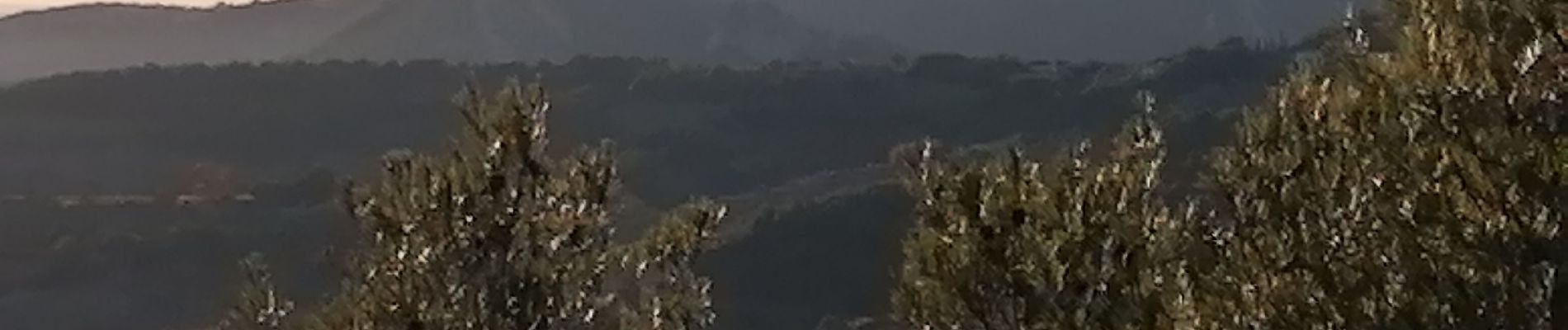 Randonnée Marche Malaucène - col de la chaîne  - Photo