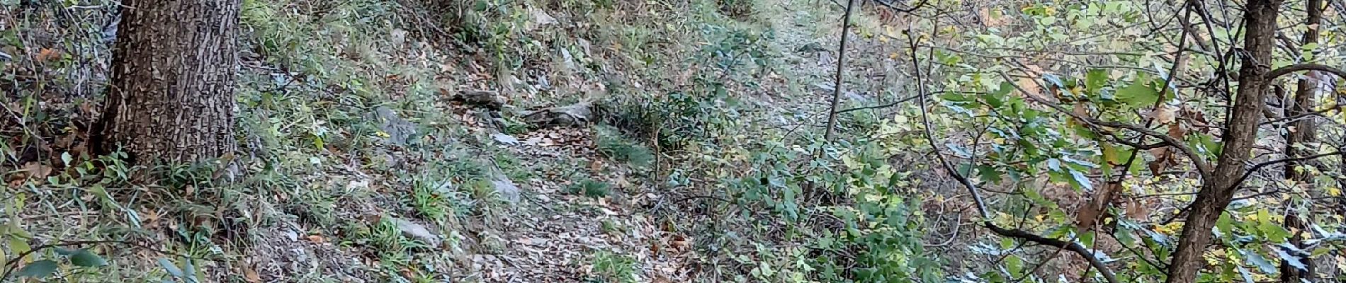 Tocht Stappen La Bastide - coll de palomere - Photo