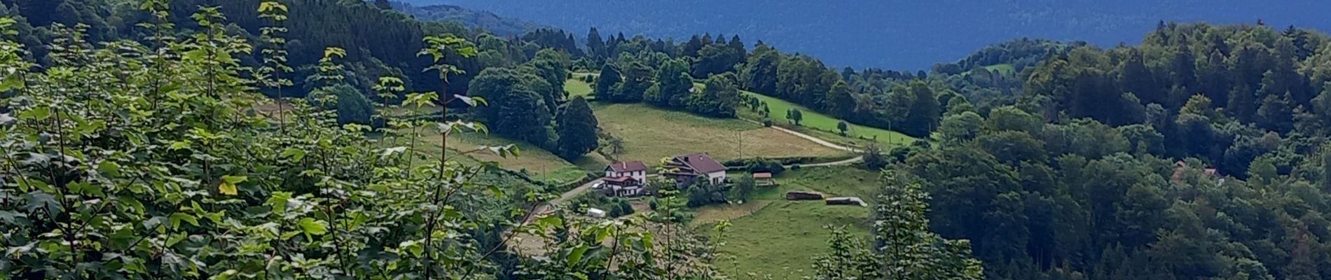 Randonnée Marche Thiéfosse - thiefosse haut du roc AR - Photo