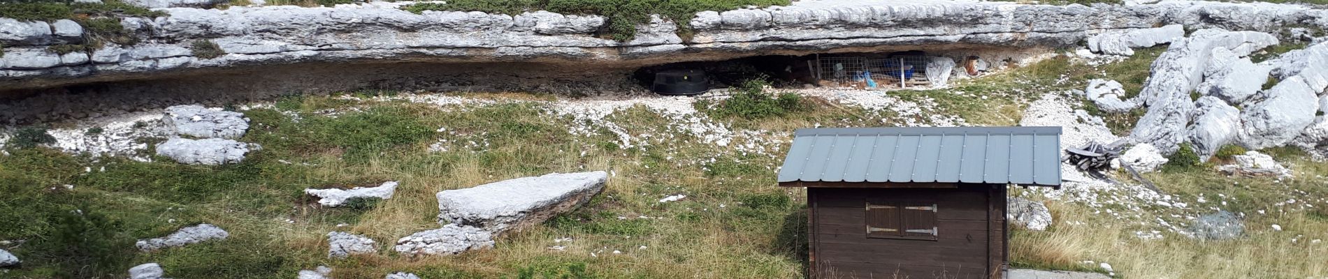 Tocht Stappen Entremont-le-Vieux - Le Pinet en circuit partiel - Photo