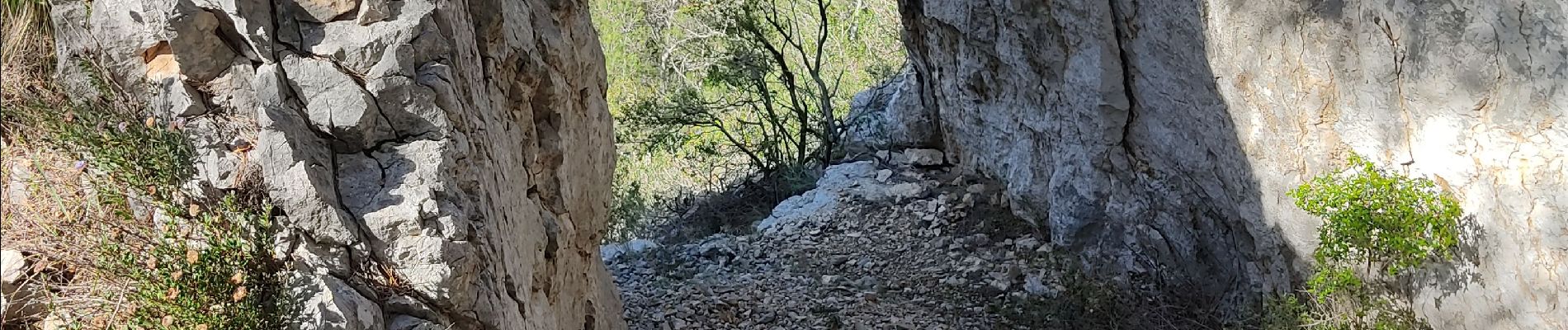 Excursión Senderismo Ollioules - ouilloul (la Ciotat 2) - Photo