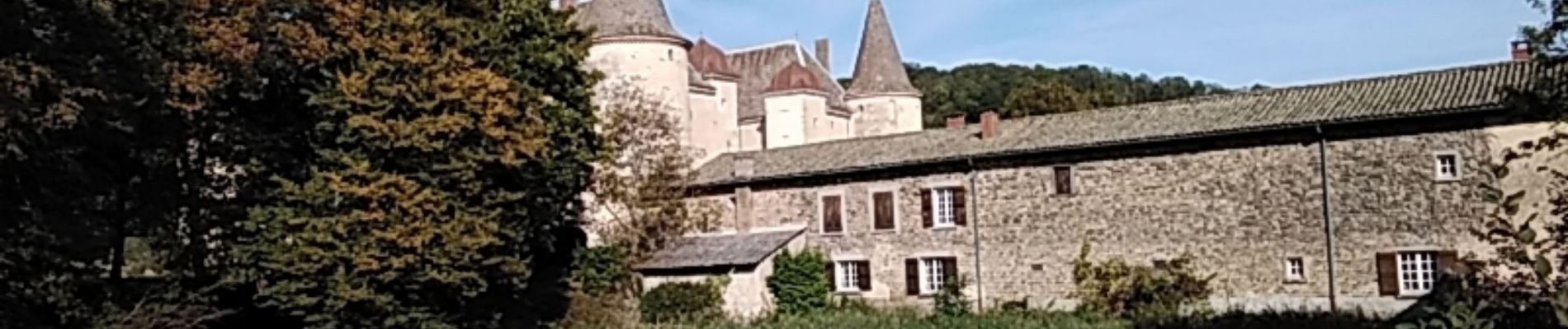 Tour Wandern Quincié-en-Beaujolais - Quincie en Beaujolais 69430 - Photo