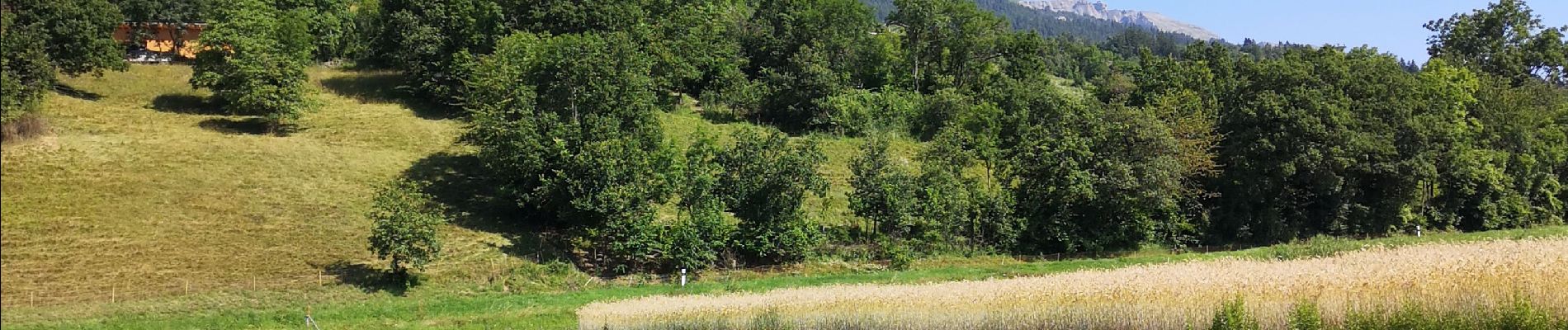 Randonnée Marche nordique Arbaz - Botyre  - Photo