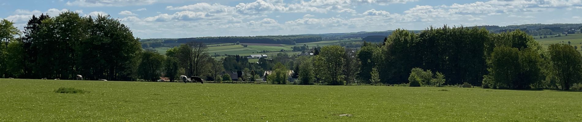 Trail Walking Libramont-Chevigny - Bras-Bas Carrière  - Photo