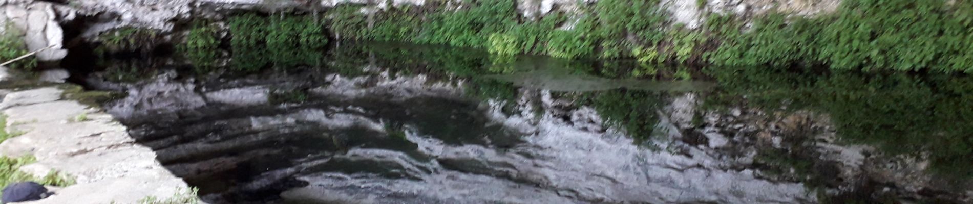 Excursión Senderismo Buoux - Baume de  l'eau  - Photo