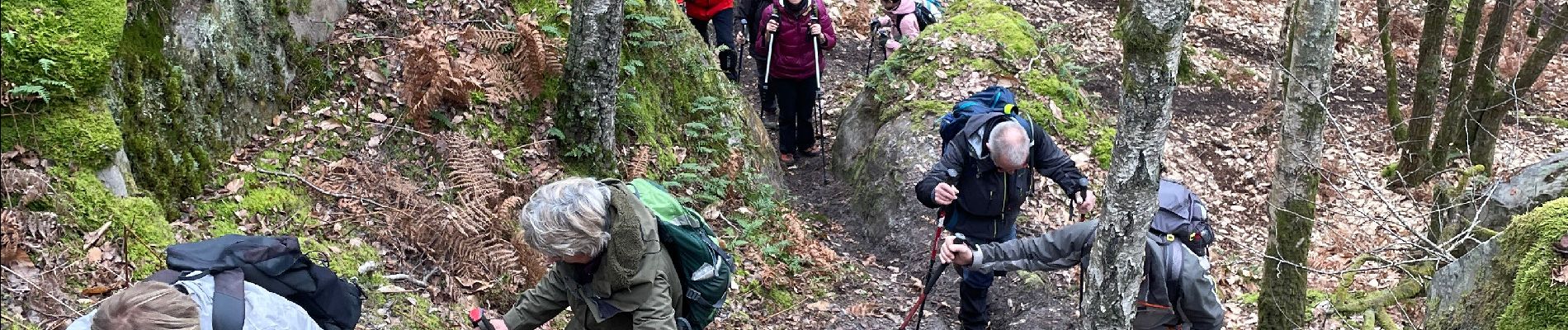 Tocht Stappen Champcueil - Beauvais par la Padole - Photo