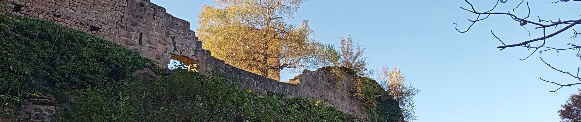 Randonnée Marche Neubois - Château de Frankenberg - Photo