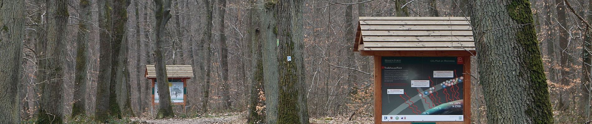 Tocht Te voet Geisenheim - Rundwanderweg Eber - Photo