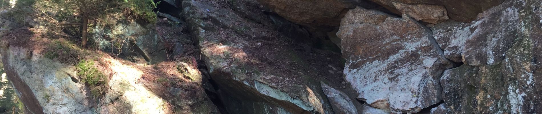 Excursión Senderismo Gedinne - Fange de l'Abime - Photo