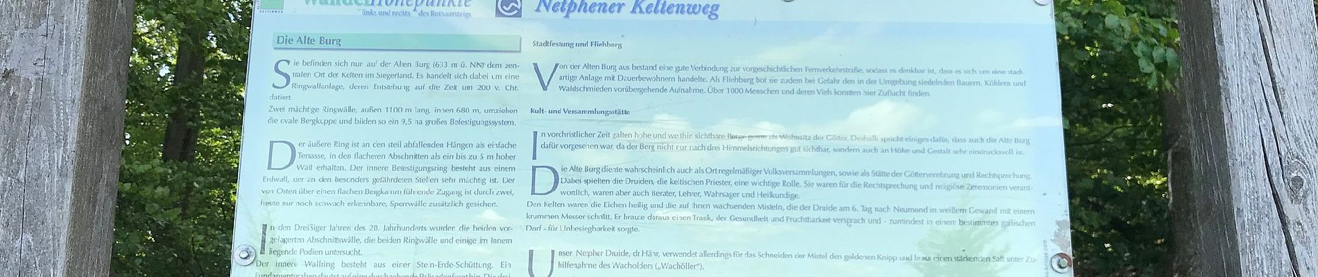 Tour Zu Fuß Netphen - Keltenweg Netphen - Photo