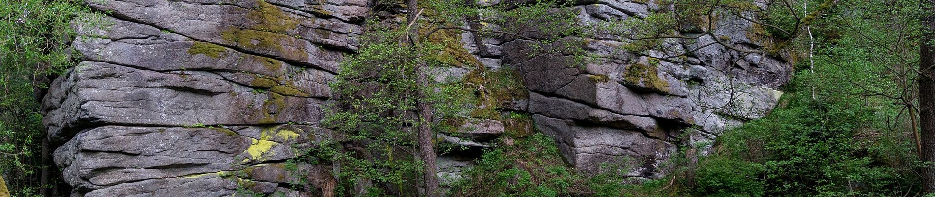 Trail On foot Selb - Hengstberg - Photo