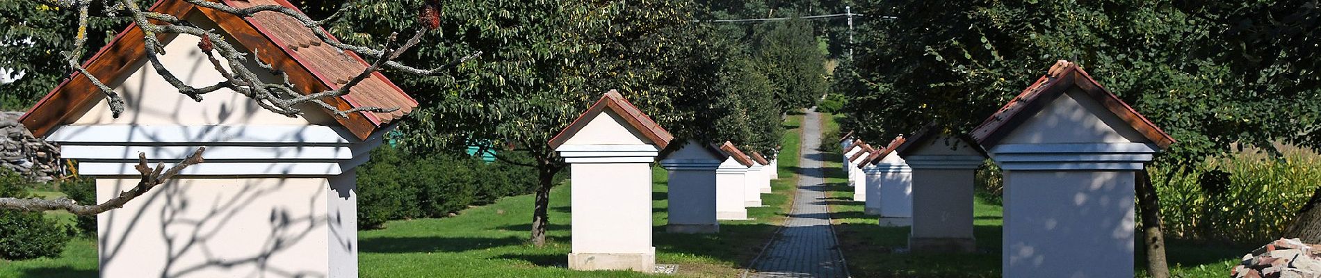 Percorso A piedi Eszteregnye - K▲ (Obornak - Várdomb - Bocska) - Photo