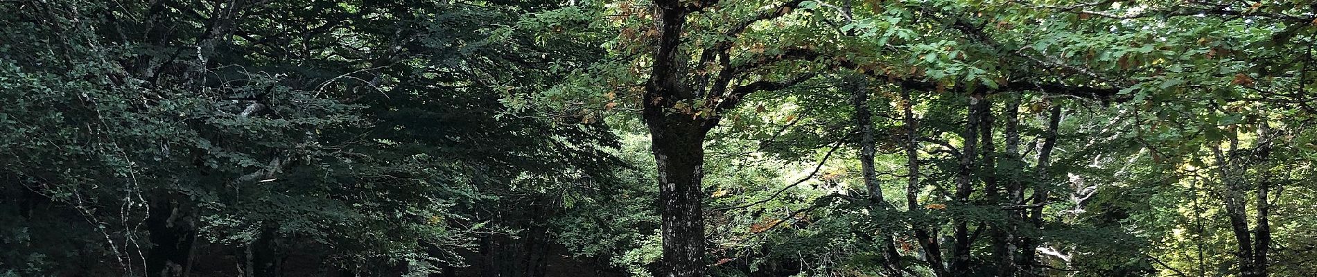 Tour Zu Fuß Capizzi - (SI V20) Portella dell'Obolo - Portella Femmina Morta - Photo