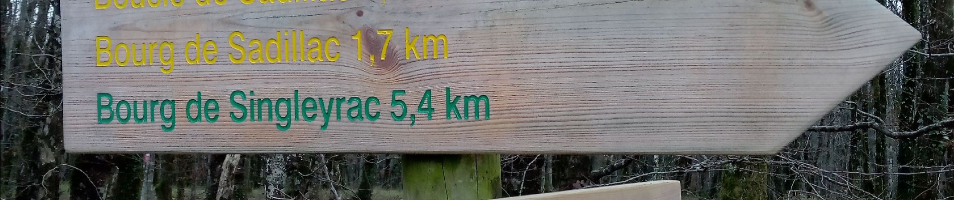Randonnée Marche Sadillac - Sadillac 18,5 km - Photo