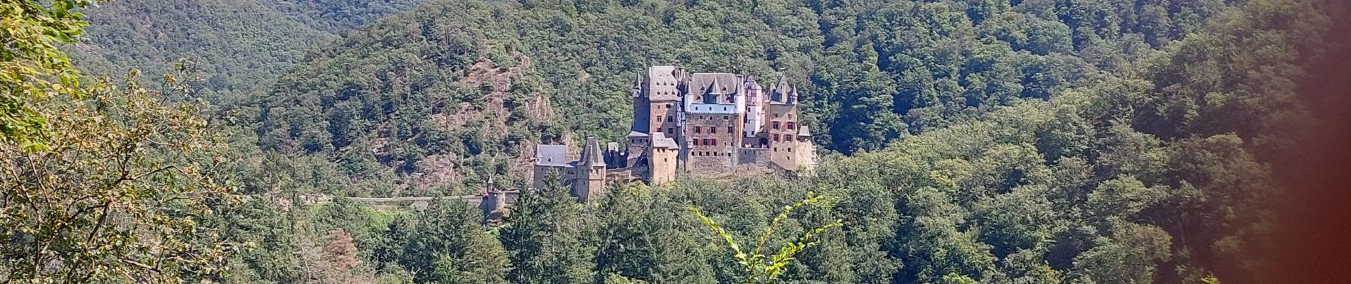 Excursión Senderismo Moselkern - Moselkern balade au château allée et retour  - Photo