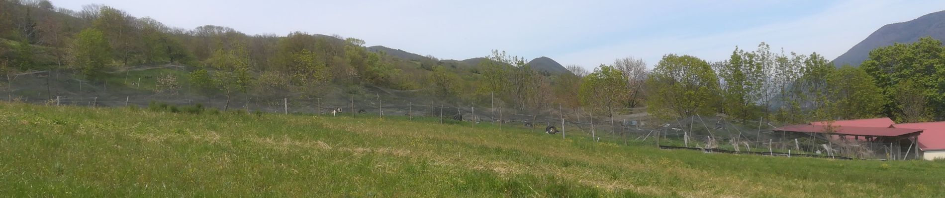 Excursión Senderismo Saint-Martin-de-la-Cluze - st martin de la cluze 2019 - Photo