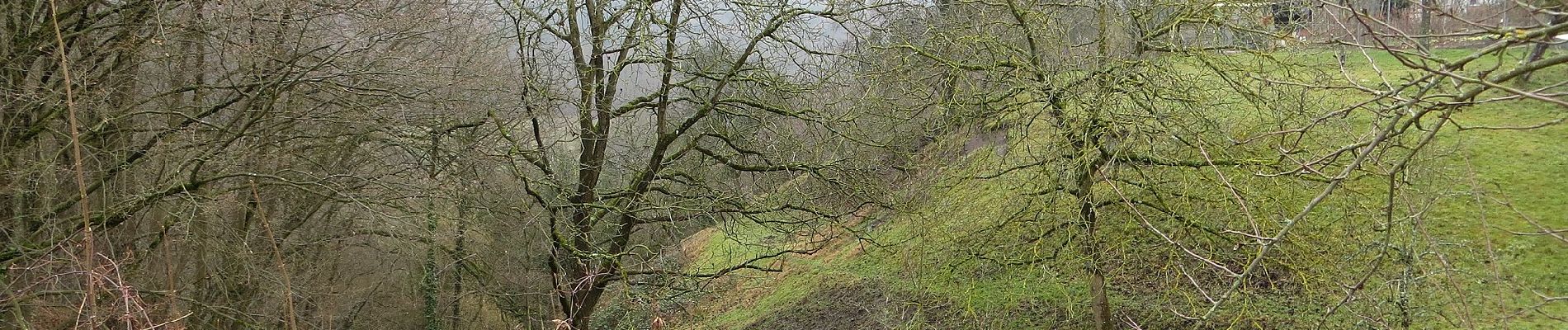 Tocht Te voet Untergruppenbach - Untergruppenbach Rundwanderweg R - Photo