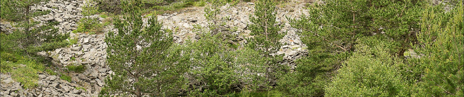 Percorso Marcia La Rochette - Le tour du Mont Signon au départ de la chambre d'hôtes La retrouvade - Photo