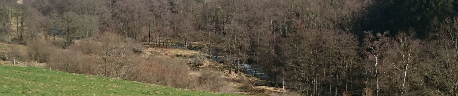 Randonnée Marche Amblève - boucle Moneteau  - Photo