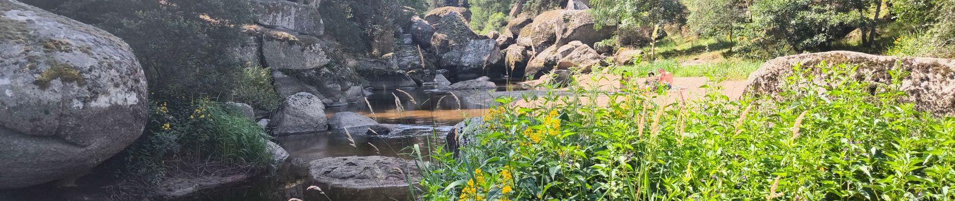 Trail Walking Peyre en Aubrac - Javols - Photo