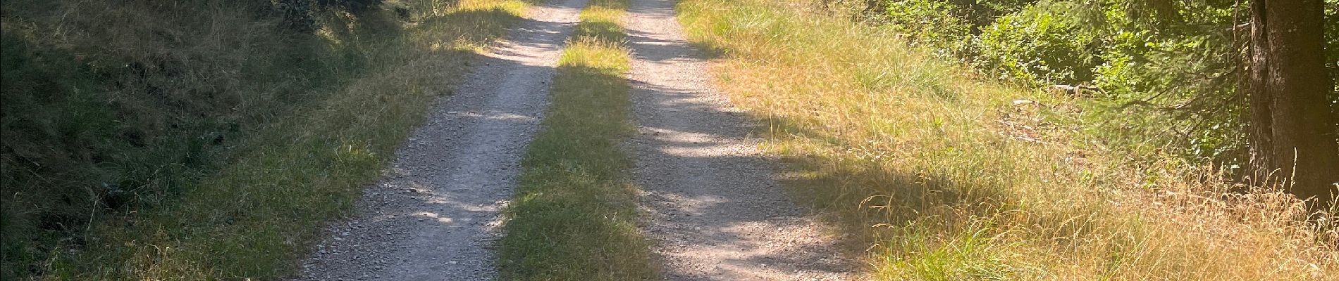 Tocht Stappen Meyrueis - Bois de la Dauphine - Photo