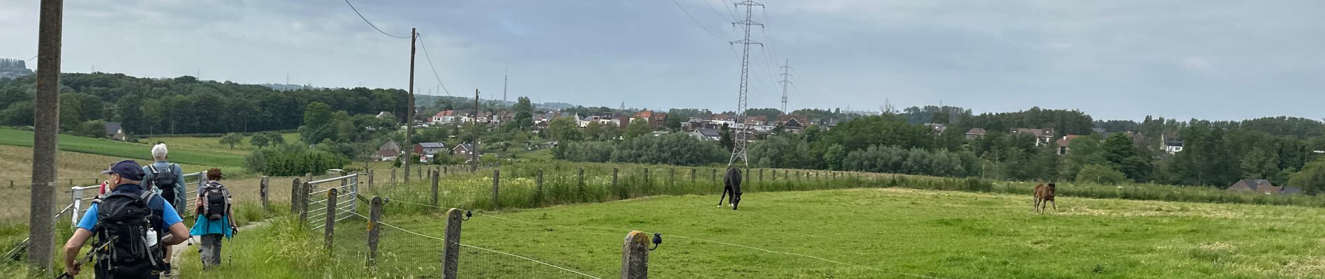 Tocht Stappen Halle - Lembeek 27 km - Photo