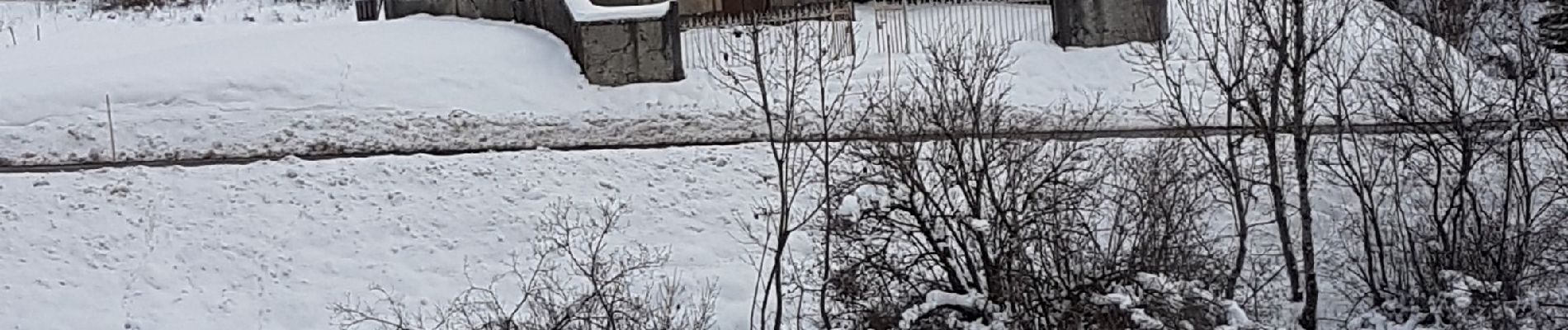 Randonnée Raquettes à neige Belleydoux - Belleydoux-ste Anne - Photo