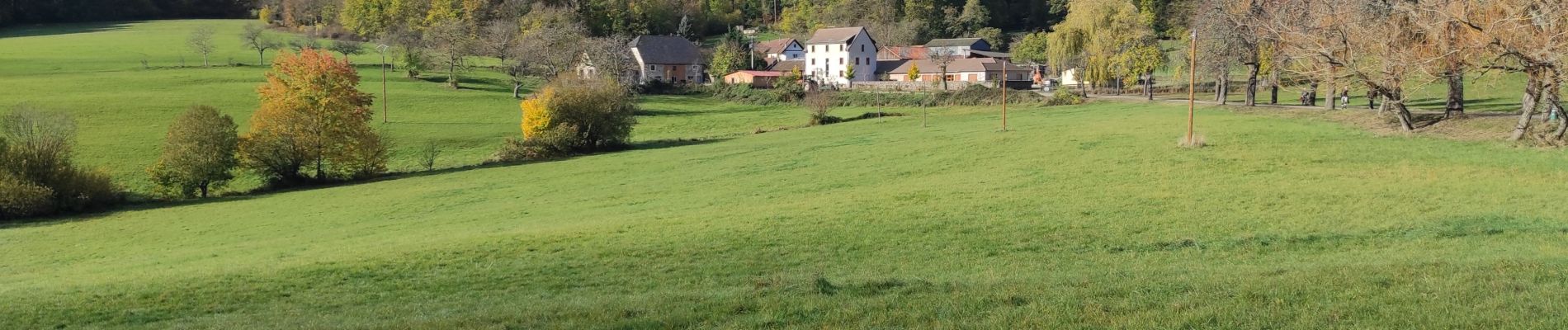 Tour Wandern Vöklingshofen - Voeglinshoffen S Marc  - Photo