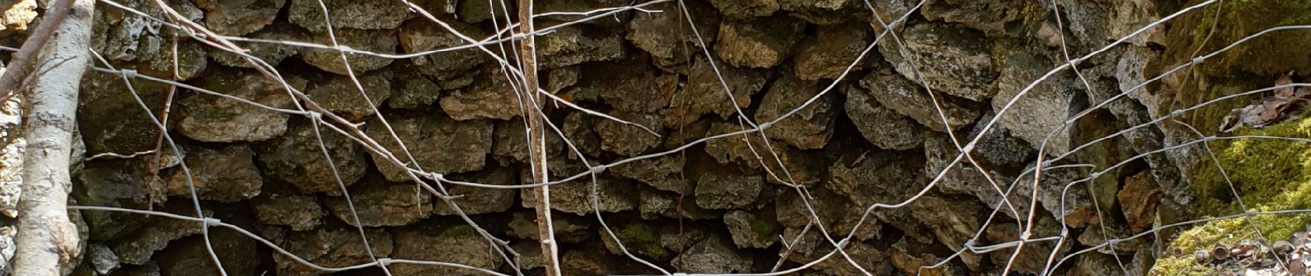 Tour Wandern Fontainebleau - RocherCanon-Villiers SR180321 - Photo