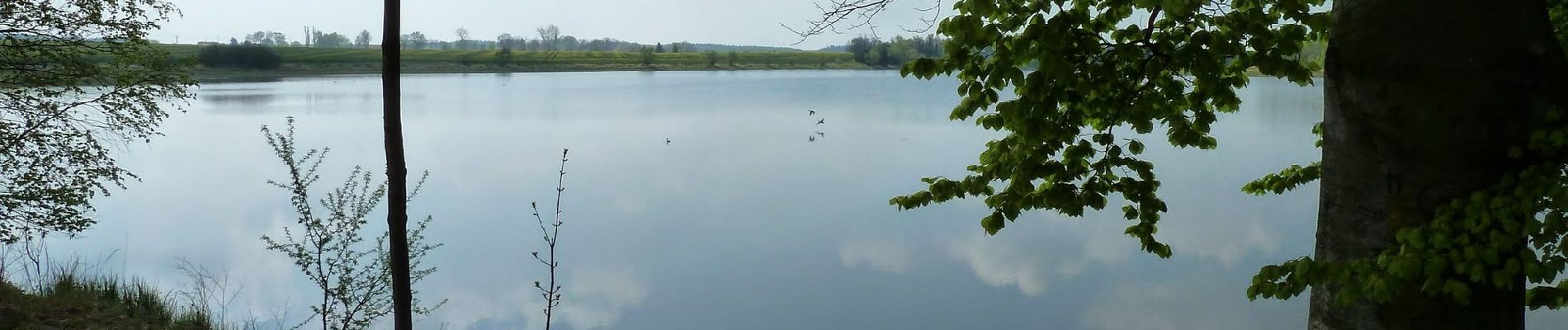 Tour Zu Fuß Plothen - Naturlehrpfad Dreba-Plothen Erweiterung - Photo