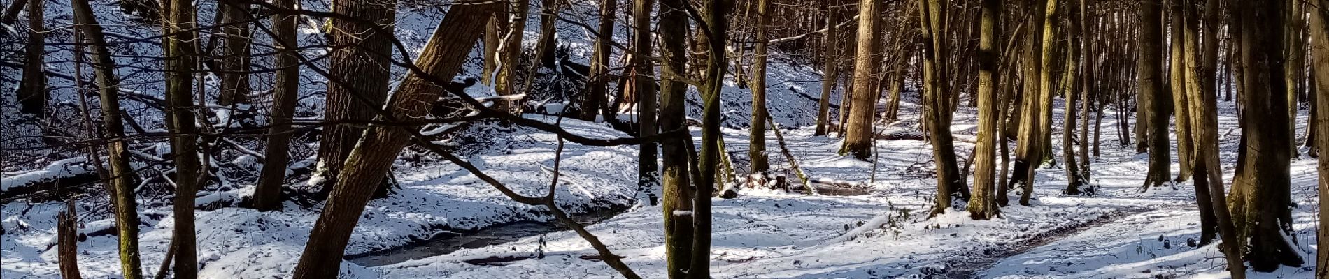 Tocht Noords wandelen Frameries - 13 février  - Photo