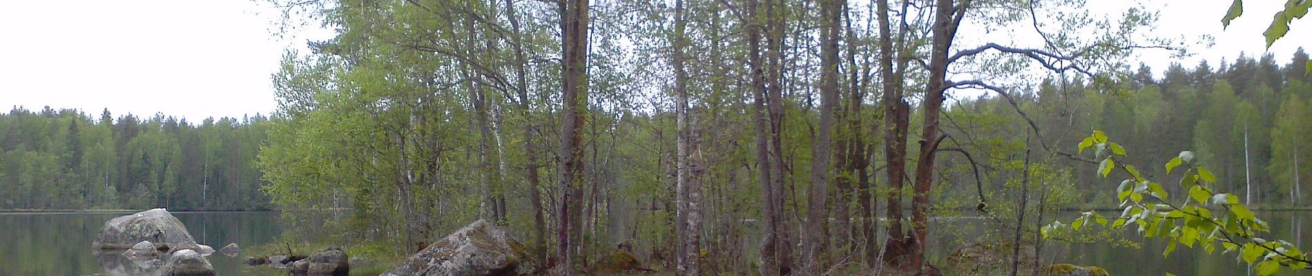 Percorso A piedi Joutsa - Mäyränkierros - Photo