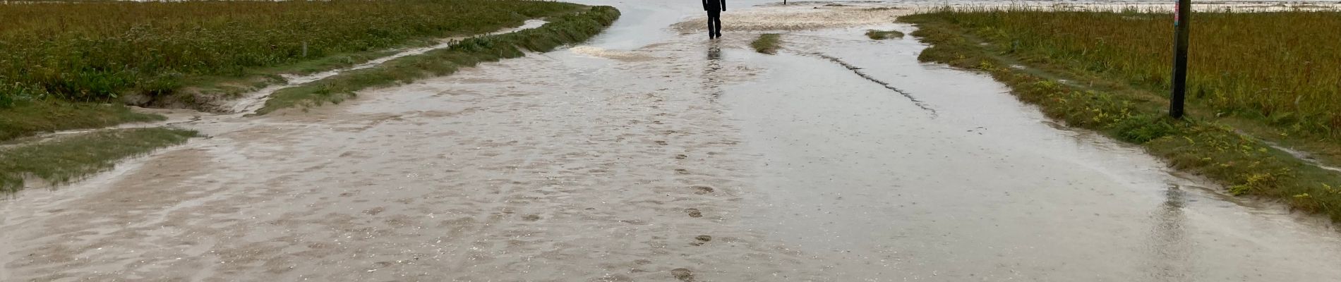 Trail Walking Le Crotoy - Petit tour en baie de Somme - Photo