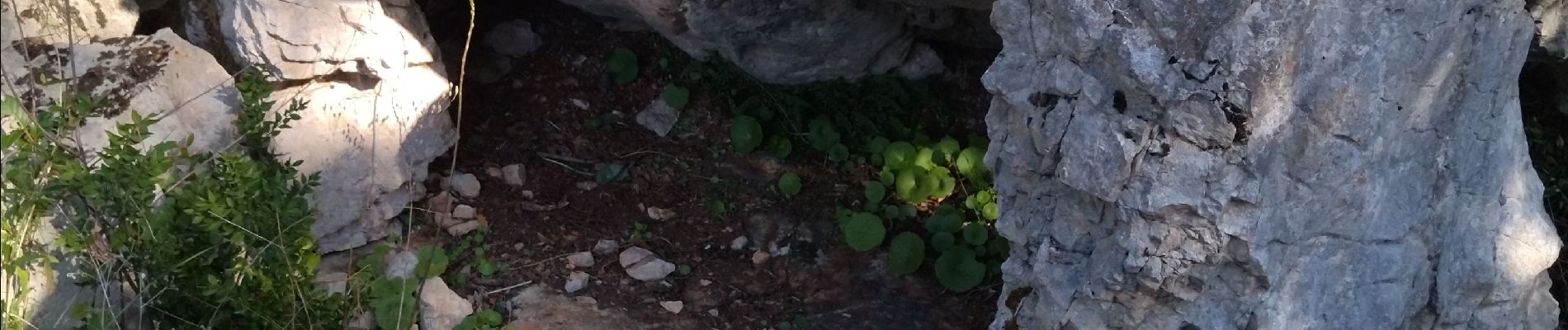 Randonnée Marche Laroque - 34 laroque grotte du pin - Photo