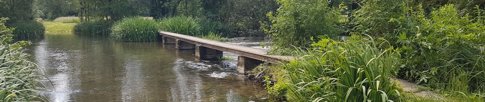 Tour Wandern Lichères - 16 - LICHERES - Photo