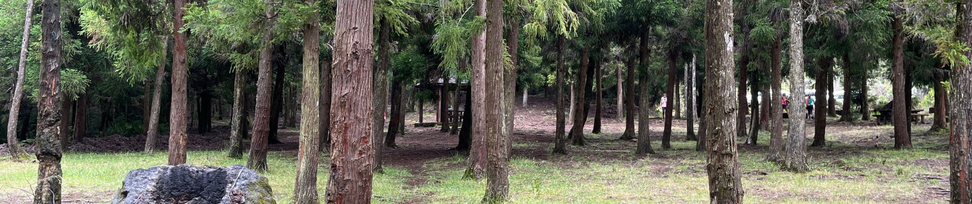 Tour Wandern Le Tampon - A égalasse trou blanc - Photo