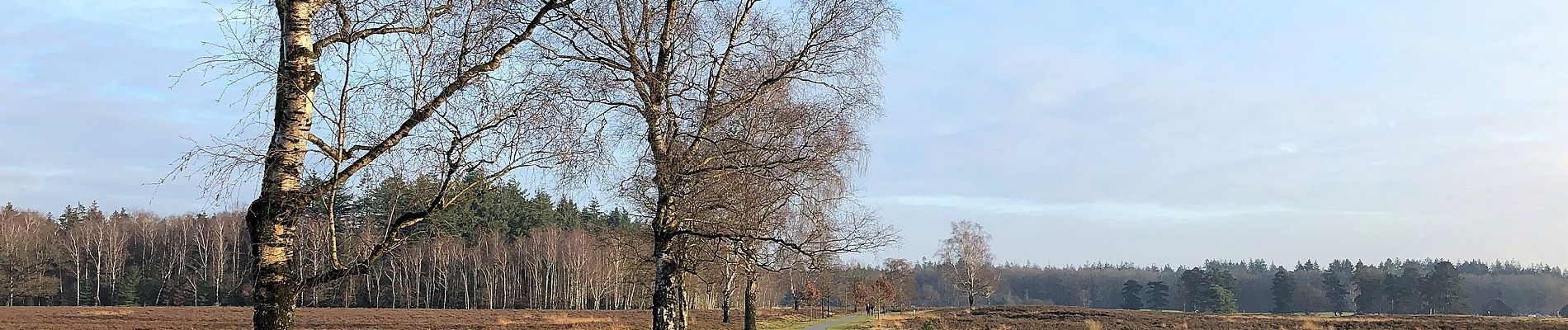 Tocht Te voet Heerde - Dellen wandeling - Photo