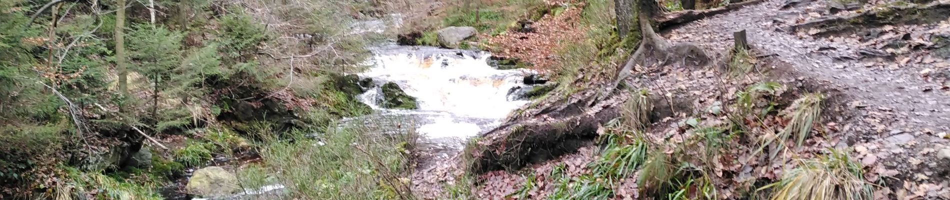 Tocht Stappen Jalhay - pont de belle heid la vallée de la hoegne - Photo