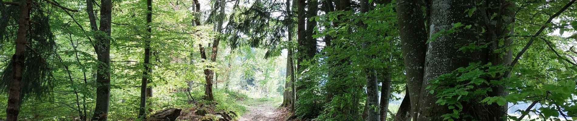 Excursión Senderismo Theys - PETITE MARCHE AUTOUR DU COL DES AYES - Photo